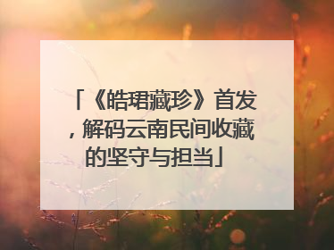 《皓珺藏珍》首发，解码云南民间收藏的坚守与担当