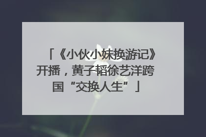 《小伙小妹换游记》开播，黄子韬徐艺洋跨国“交换人生”