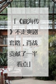 《藏海传》不走爽剧套路，肖战贡献了一半看点