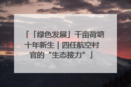「绿色发展」千亩荷塘 十年新生｜四任航空村官的“生态接力”