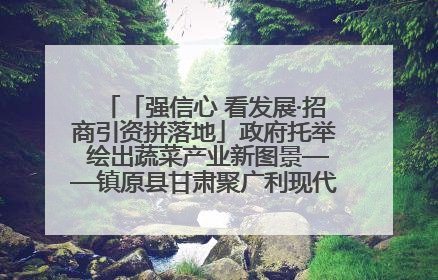 「强信心 看发展·招商引资拼落地」政府托举 绘出蔬菜产业新图景——镇原县甘肃聚广利现代设施蔬菜种植基地见闻