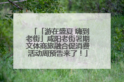 「游在盛夏 嗨到老街」咸阳老街暑期文体商旅融合促消费活动周预告来了！