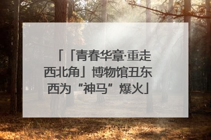 「青春华章·重走西北角」博物馆丑东西为“神马”爆火