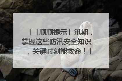 「顺顺提示」汛期，掌握这些防汛安全知识，关键时刻能救命！