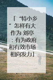 “特小乡”怎样有大作为 刘亭：有为政府和有效市场相向发力
