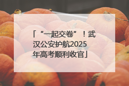 “一起交卷”！武汉公安护航2025年高考顺利收官