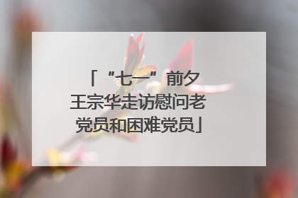 “七一”前夕 王宗华走访慰问老党员和困难党员