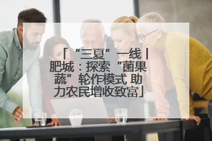 “三夏”一线丨肥城：探索“菌果蔬”轮作模式 助力农民增收致富