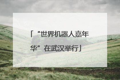 “世界机器人嘉年华”在武汉举行