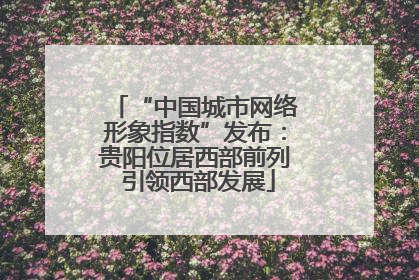“中国城市网络形象指数”发布：贵阳位居西部前列 引领西部发展