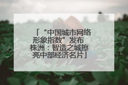 “中国城市网络形象指数”发布 株洲：智造之城擦亮中部经济名片