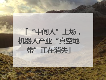 “中间人”上场，机器人产业“真空地带”正在消失
