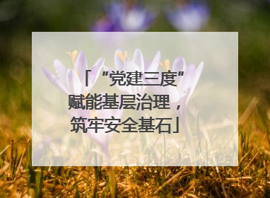 “党建三度”赋能基层治理，筑牢安全基石