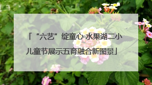 “六艺”绽童心 水果湖二小儿童节展示五育融合新图景