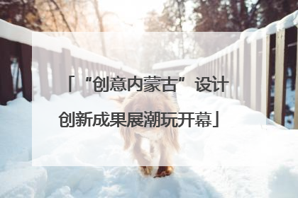 “创意内蒙古”设计创新成果展潮玩开幕