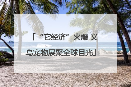 “它经济”火爆 义乌宠物展聚全球目光