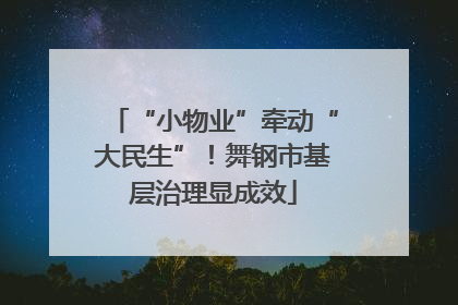 “小物业”牵动“大民生”！舞钢市基层治理显成效