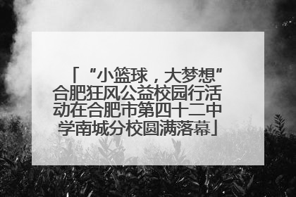 “小篮球，大梦想”合肥狂风公益校园行活动在合肥市第四十二中学南城分校圆满落幕