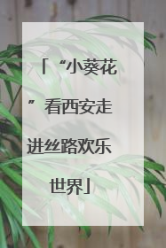 “小葵花”看西安走进丝路欢乐世界