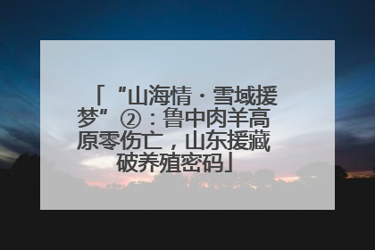 “山海情・雪域援梦”②：鲁中肉羊高原零伤亡，山东援藏破养殖密码