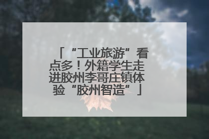“工业旅游”看点多！外籍学生走进胶州李哥庄镇体验“胶州智造”