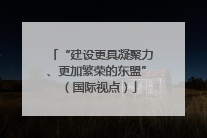 “建设更具凝聚力、更加繁荣的东盟”（国际视点）
