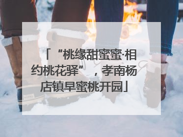 “桃缘甜蜜蜜·相约桃花驿”，孝南杨店镇早蜜桃开园