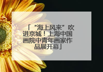 “海上风来”吹进京城！上海中国画院中青年画家作品展开幕