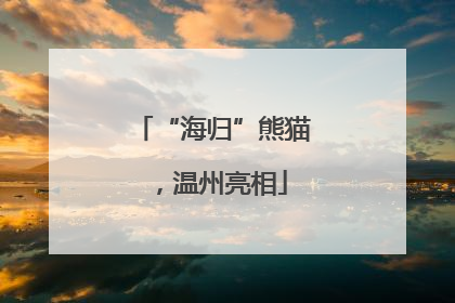 “海归”熊猫，温州亮相