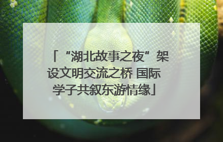 “湖北故事之夜”架设文明交流之桥 国际学子共叙东游情缘
