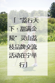 “荔行天下・甜满金陵”灵山荔枝品牌交流活动在宁举行