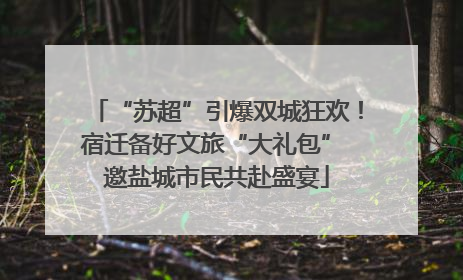 “苏超”引爆双城狂欢！宿迁备好文旅“大礼包” 邀盐城市民共赴盛宴