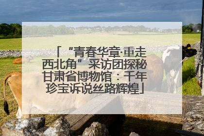 “青春华章·重走西北角”采访团探秘甘肃省博物馆：千年珍宝诉说丝路辉煌