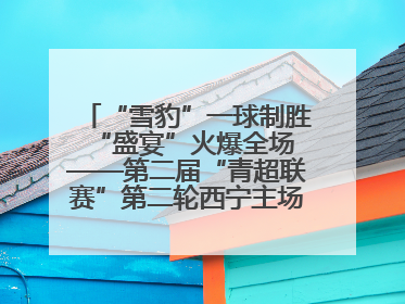 “雪豹”一球制胜 “盛宴”火爆全场——第二届“青超联赛”第二轮西宁主场比赛见闻