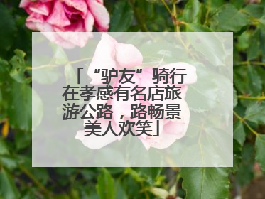 “驴友”骑行在孝感有名店旅游公路，路畅景美人欢笑