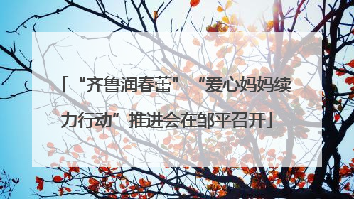 “齐鲁润春蕾”“爱心妈妈续力行动”推进会在邹平召开
