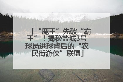 “鹿王”先破“霸王”！揭秘盐城3号球员进球背后的“农民街游侠”联盟
