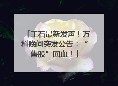 王石最新发声！万科晚间突发公告：“售股”回血！