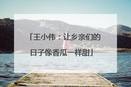 王小伟：让乡亲们的日子像香瓜一样甜