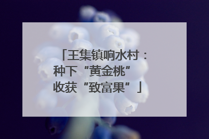 王集镇响水村：种下“黄金桃” 收获“致富果”
