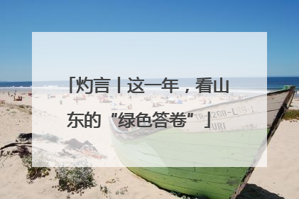 灼言丨这一年，看山东的“绿色答卷”