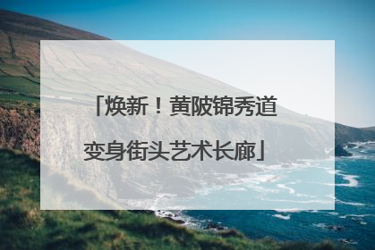 焕新！黄陂锦秀道变身街头艺术长廊