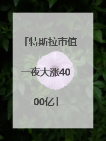 特斯拉市值一夜大涨4000亿