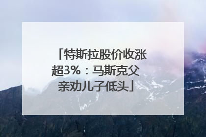 特斯拉股价收涨超3%：马斯克父亲劝儿子低头