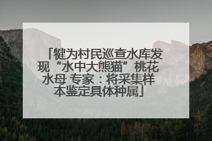 犍为村民巡查水库发现“水中大熊猫”桃花水母 专家：将采集样本鉴定具体种属
