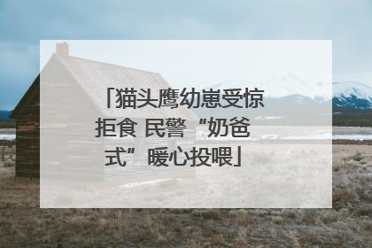 猫头鹰幼崽受惊拒食 民警“奶爸式”暖心投喂