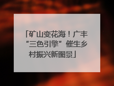 矿山变花海！广丰“三色引擎”催生乡村振兴新图景