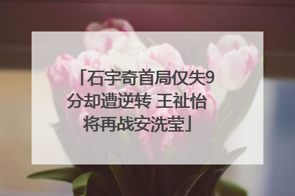 石宇奇首局仅失9分却遭逆转 王祉怡将再战安洗莹