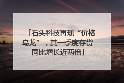 石头科技再现“价格乌龙”，其一季度存货同比增长近两倍