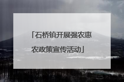 石桥镇开展强农惠农政策宣传活动